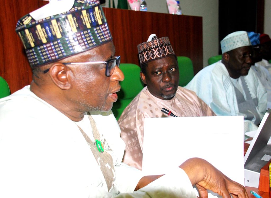 Insecurity: Reps Flag Off Probe Of Border Security Operations, Funding