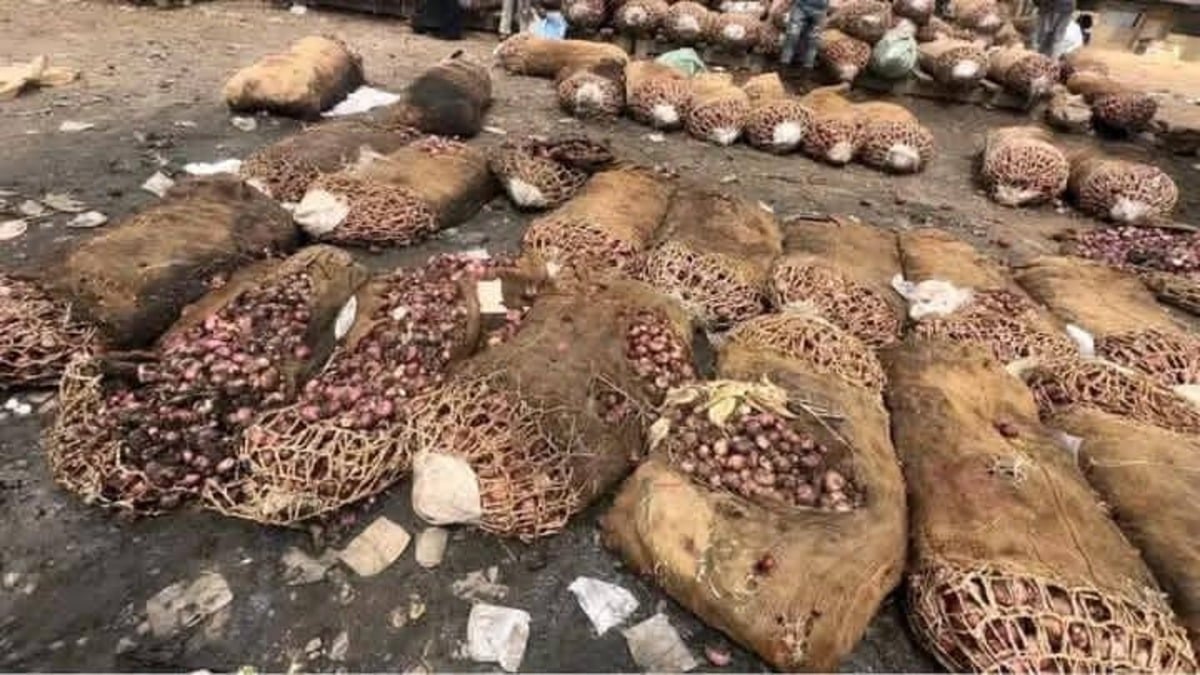 Img 20251113 Wa0021 2