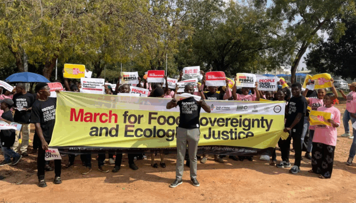 Fg Urged To Protect Smallholder Farmers  From Agro-Industrial Giants