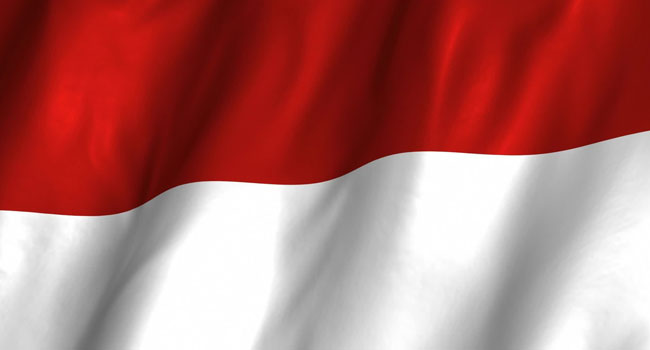 Indonesian Flag