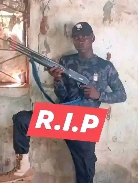 M3 1763278210 M3 1763278210