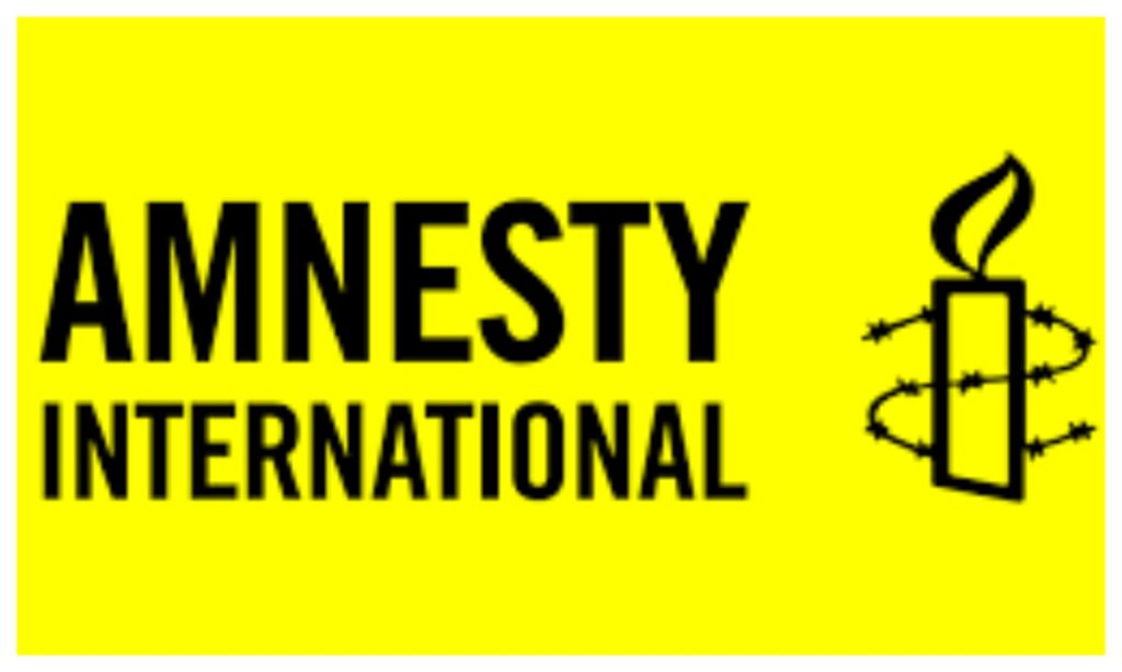 Bargaja Attack: Amnesty Slams Nigeria Govt, Laments Killings Of Innocent Citizens