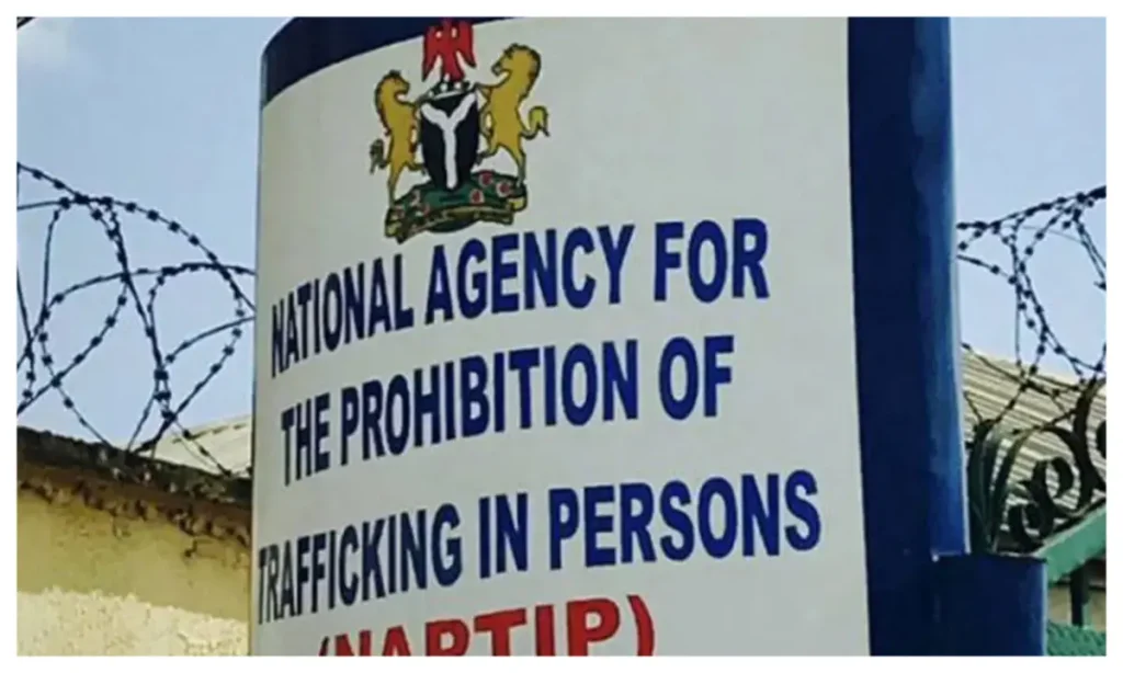 Naptip Rescues 221 Victims Of Human Trafficking In Jigawa