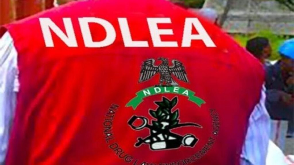 Ndlea Busts Clandestine Colos Lab In Lagos
