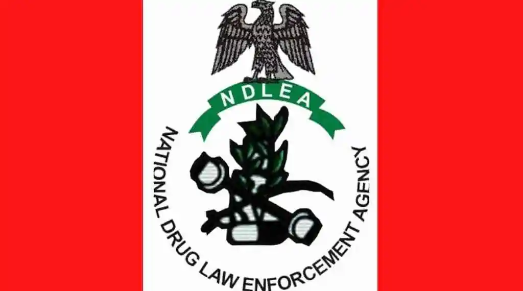 Ndlea Logo Ndlea Logo