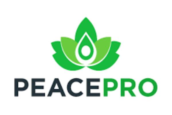 New Project 2025 06 09T163320.493