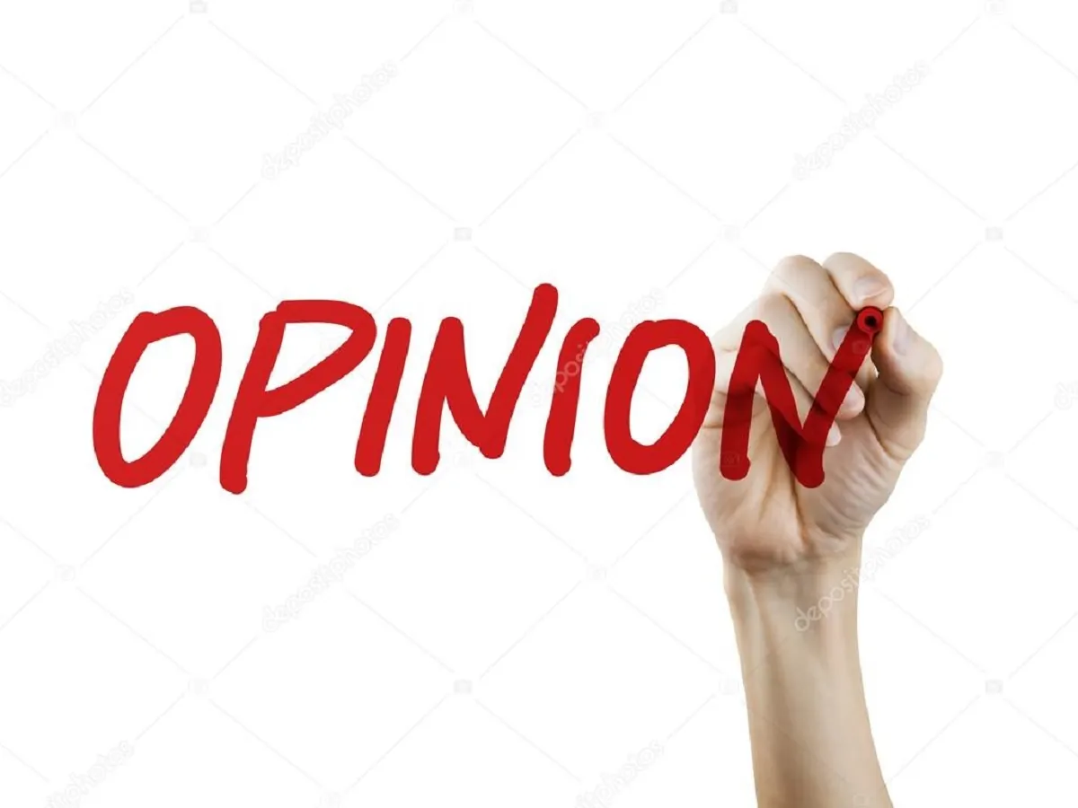 Opinion 1