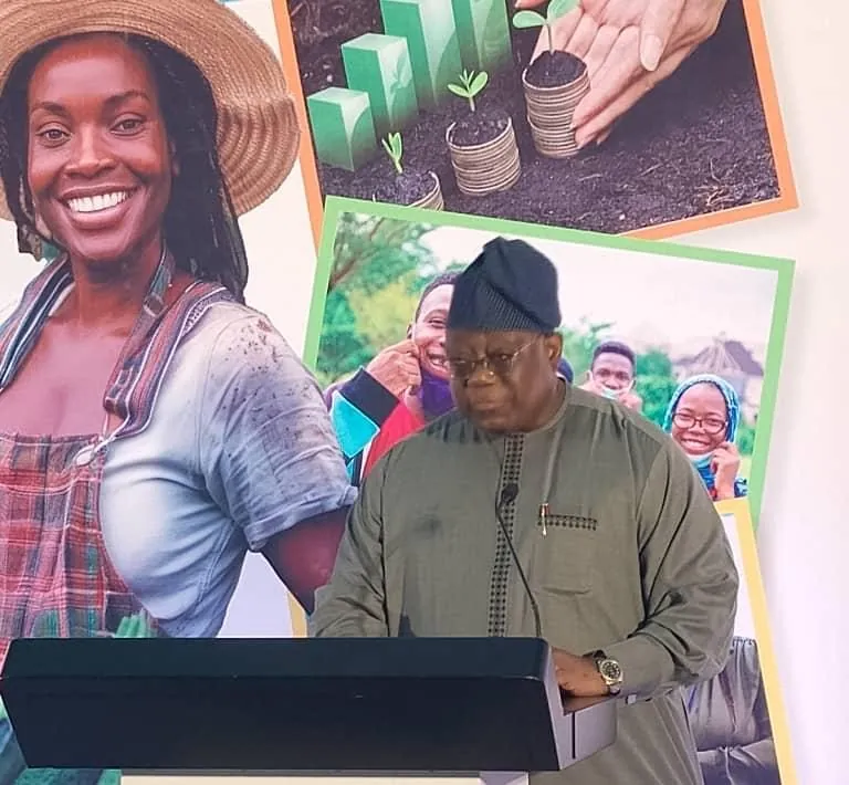 Olaopa E1754403312369 Olaopa E1754403312369