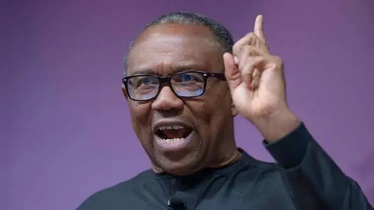 It’s Not Unpatriotic To Tell The Truth, Peter Obi Tells Critics