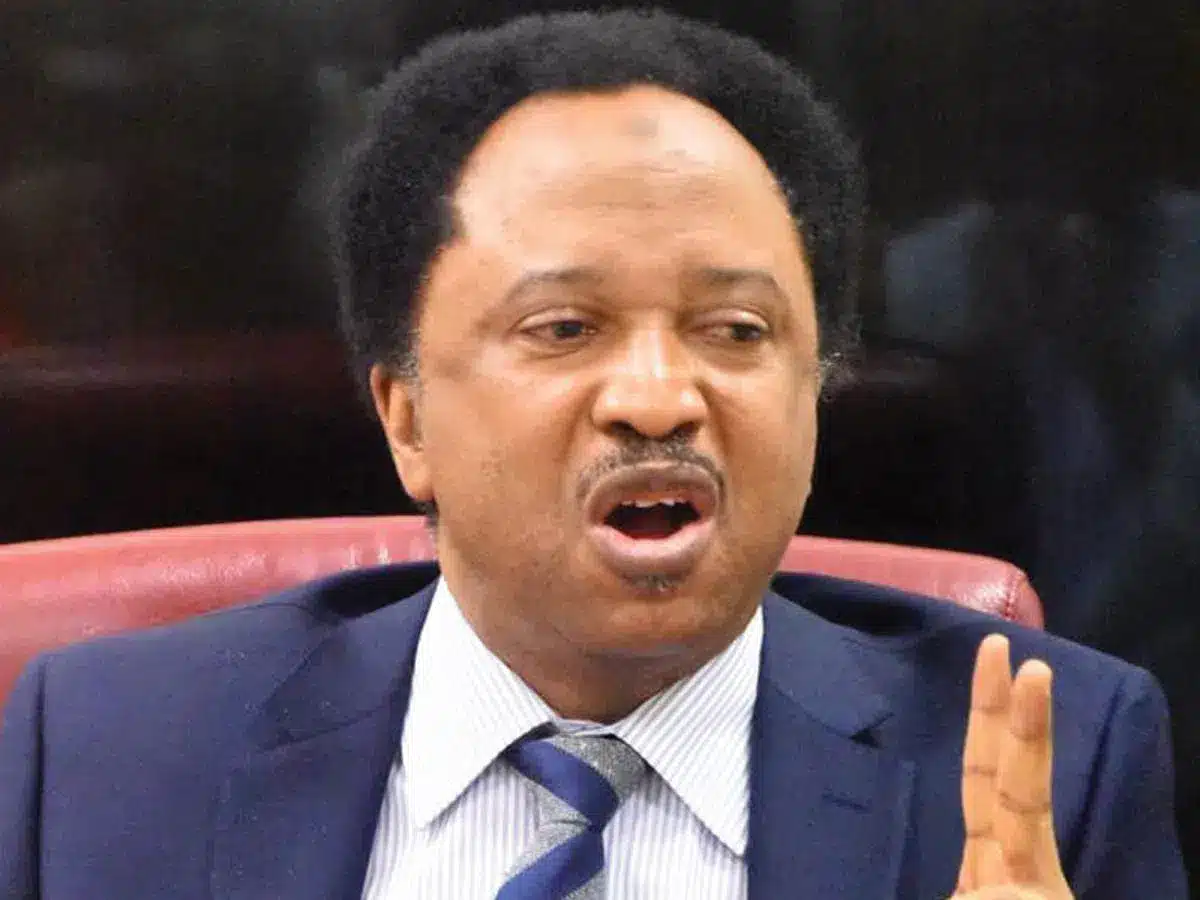 Shehu Sani React.jpg