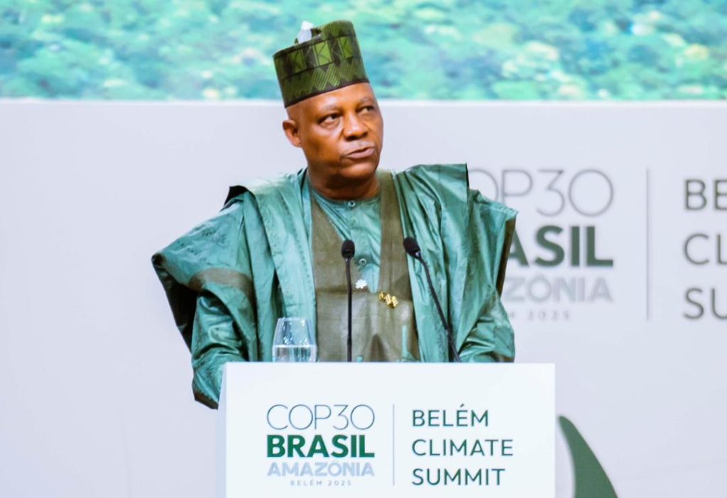 Shettima At Cop30 Cop30: Nigeria Urges Boost In Global Finance To Restore Nature’s Economic Value