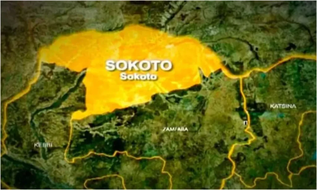 Troops Recover 45 Stolen Cows Following Ambush On Cattle Rustling Gang In The Sokoto Forest
