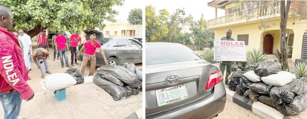 Some Of The Drugs Intercepted By The Troops 12 Brigade Nigerian Army Lokoja Kogi State