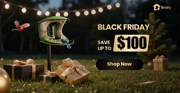 Top Rated Bird Feeder Cameras On Sale Birdfy Black Friday Event Begins Top Rated Bird Feeder Cameras On Sale Birdfy Black Friday Event Begins