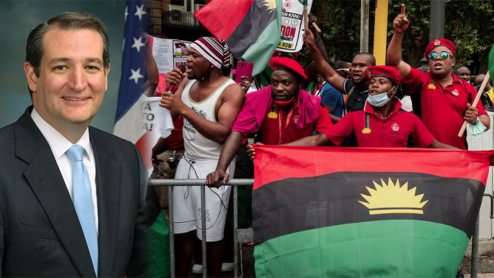 Nigerian Govt Accuses Ted Cruz Of Working For Ipob, Says Republican Senator Received Bribe From Terror Group