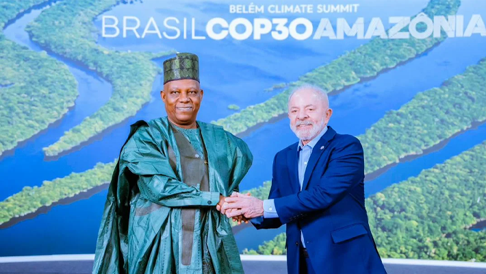 Cop 30: Nigeria Tasks Global Leaders On Reasonable Action Against Climate Change
