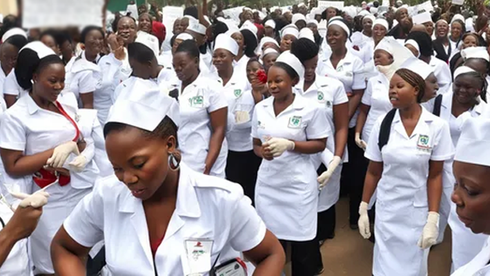 Fg Promises To Host 2026 Commonwealth Nurses, Midwives Conference