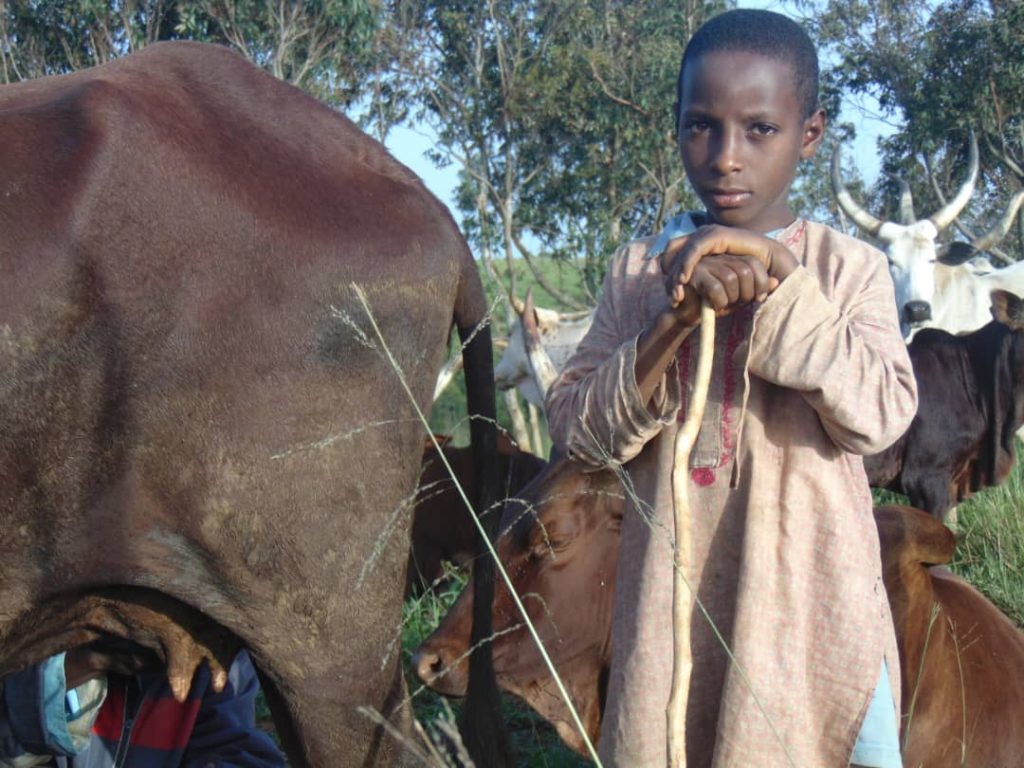 Img 20240810 Wa0001 1