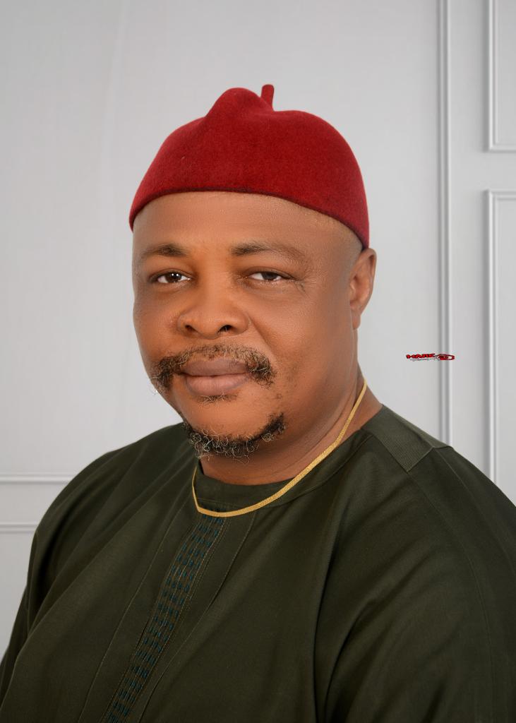 Court Upholds Udeze As Action Alliance National Chairman