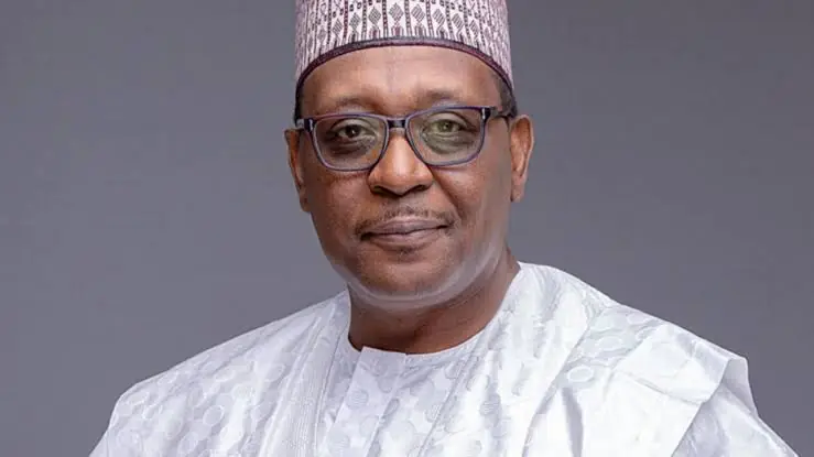 Nigeria Achieves 17% Drop In Maternal Deaths, 12% In Newborn Deaths