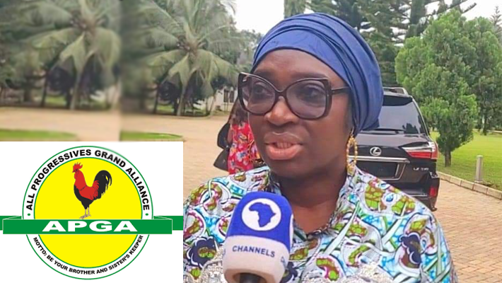 Apc Candidate, Apga Chair Clash Over Poll Disruption In Anambra Community