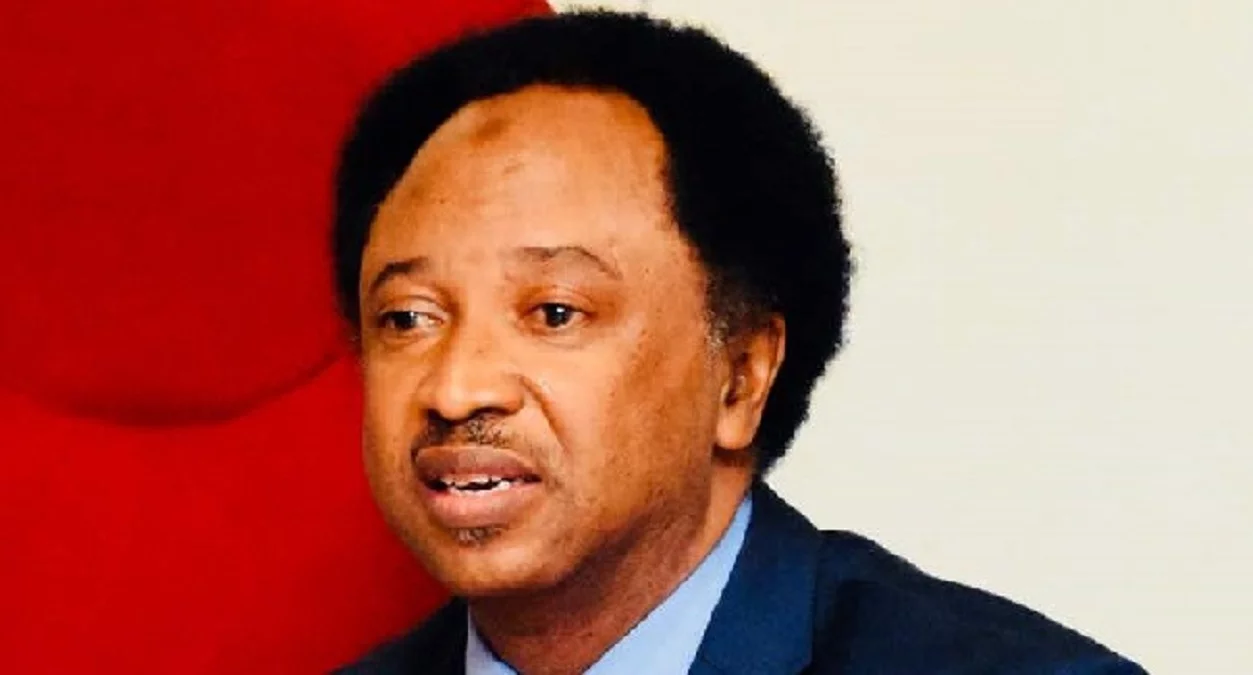 Shehu Sani Says