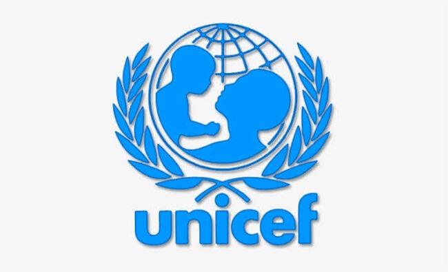 Unicef Enrols 33,532 Borno Children On Digital Learning Platform