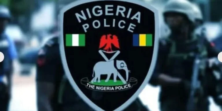 Nigerian Police Force 768x384 1 Nigerian Police Force 768x384 1