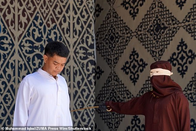 105927733 15508721 Image A 11 1769683037538 105927733 15508721 Image A 11 1769683037538