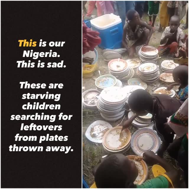 623109203 3298935543609023 4166498008798232600 N 623109203 3298935543609023 4166498008798232600 N