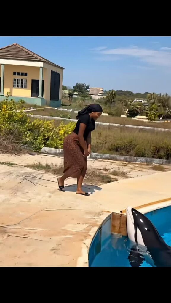 623814014 1413911456982806 2659631194262471807 N 623814014 1413911456982806 2659631194262471807 N