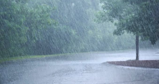 7A749Afe E65C 46Ef 9354 Ec7Dc727502A 7A749Afe E65C 46Ef 9354 Ec7Dc727502A