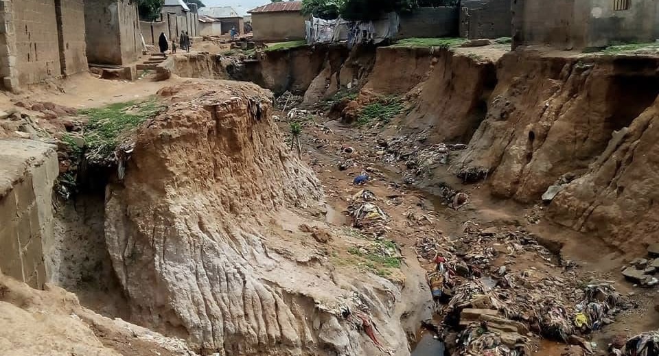 A4716B97 37Fa 47A5 86F4 6Cf847249B5A A4716B97 37Fa 47A5 86F4 6Cf847249B5A