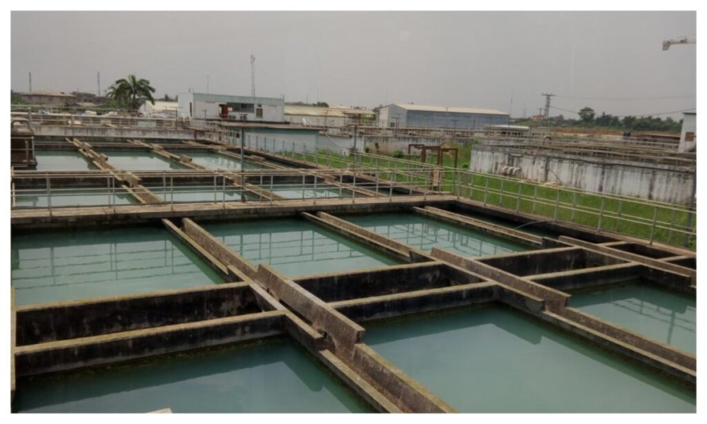 Adiyan I Plant Adiyan I Plant