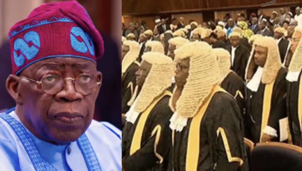 Dadf7E34 B423 4C58 87Da 4Eb6Cf8298B3 Scaled 1 Dadf7E34 B423 4C58 87Da 4Eb6Cf8298B3 Scaled 1