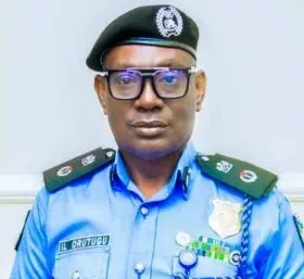 IMG 20251001 WA0132 280x420 1 e1761950710251 IMG 20251001 WA0132 280x420 1 e1761950710251