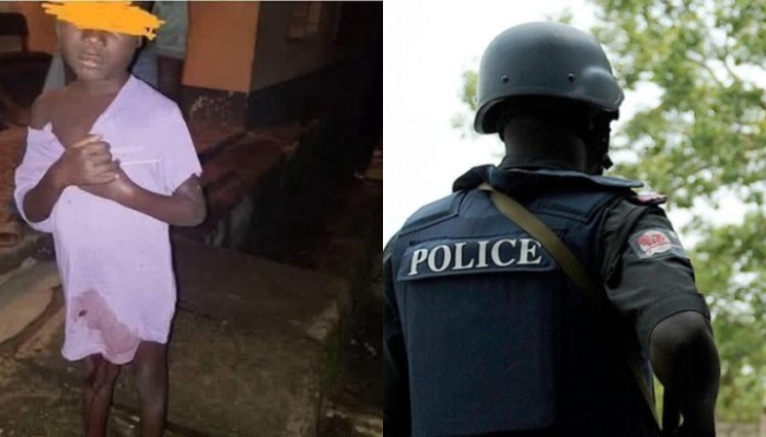 Mixcollage 22 Jan 2026 09 52 Am 4038 Mixcollage 22 Jan 2026 09 52 Am 4038