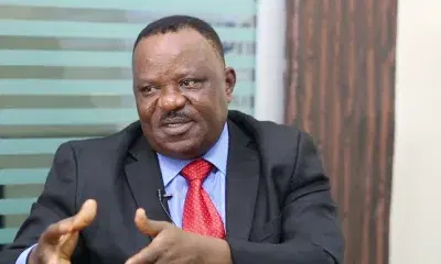 Skc Ogbonnia Skc Ogbonnia