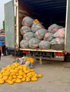 Screenshot 20260123 0219253 230X300 1 Screenshot 20260123 0219253 230X300 1