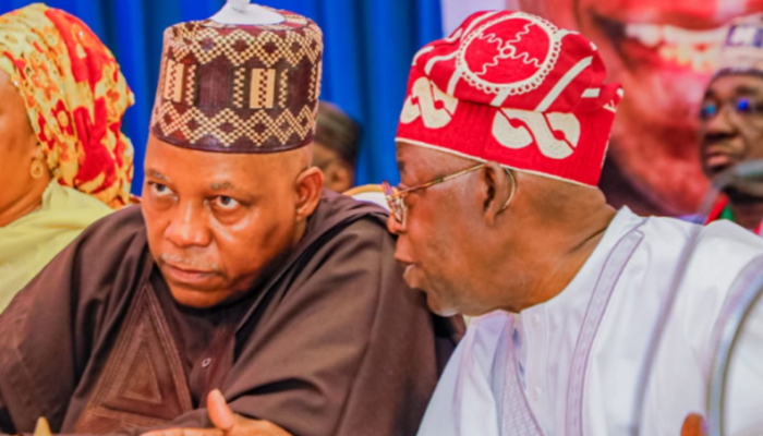 Untitled Design 78 Untitled Design 78