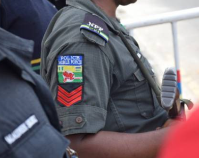 Fdii 1768230030 Fdii 1768230030