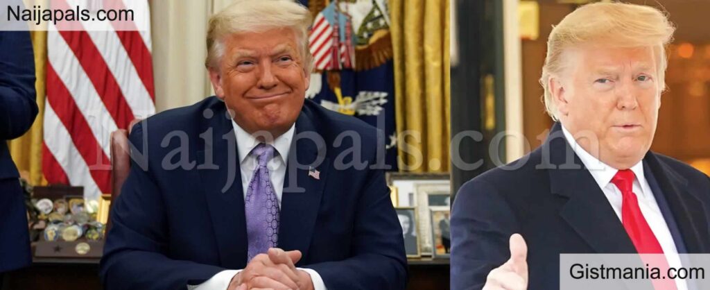 Trump Donald Alone New Trump Donald Alone New