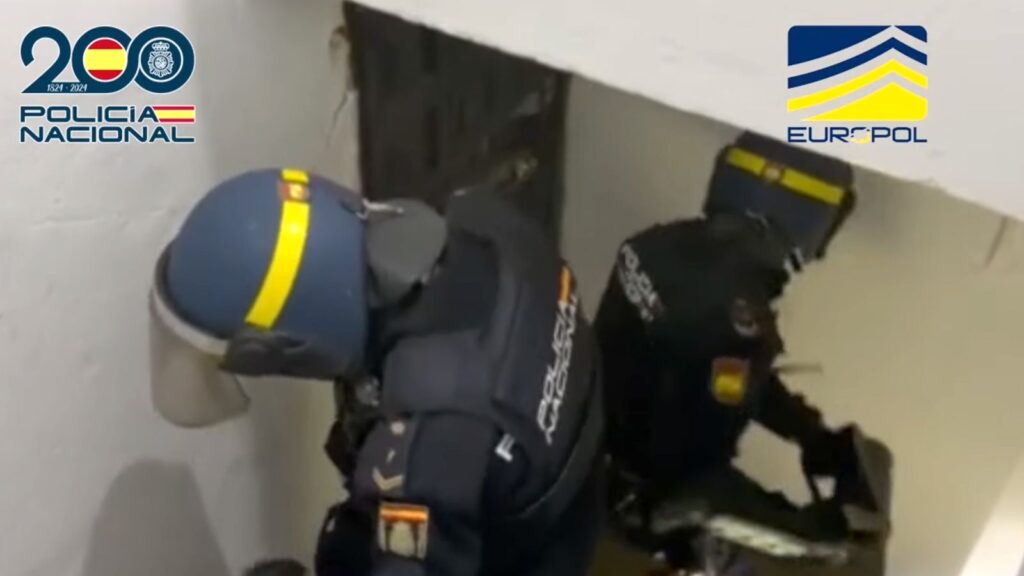 W7 1768224899 W7 1768224899