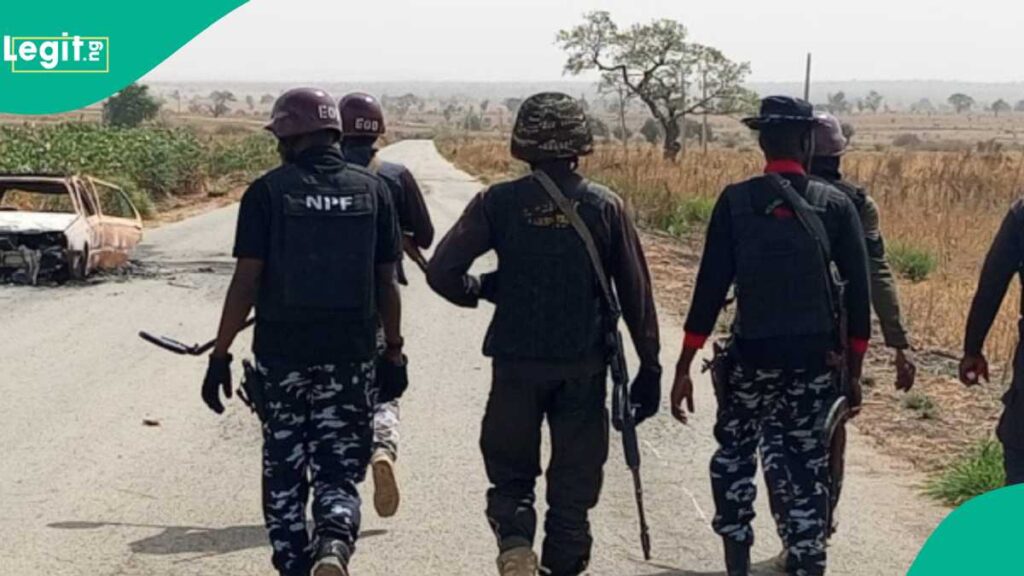 127d523ed2a7e64f 127d523ed2a7e64f