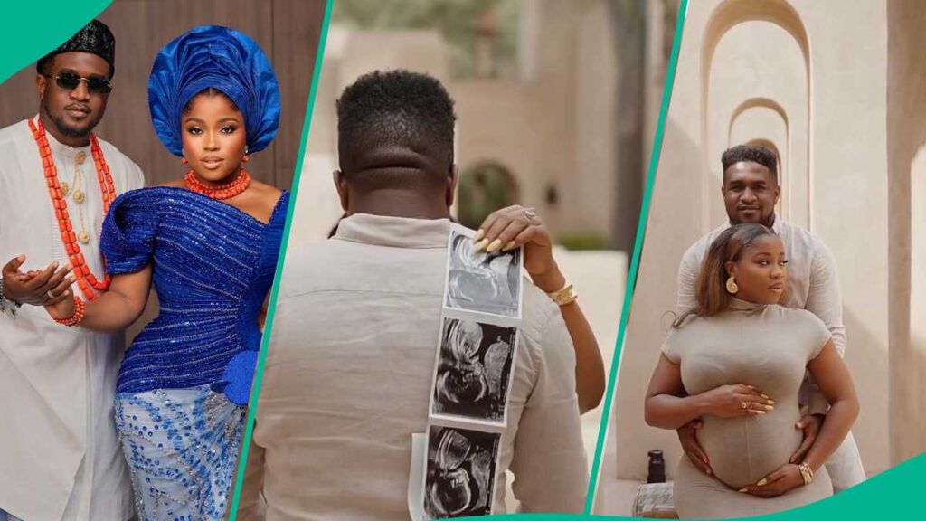 43102eab48087178 43102eab48087178