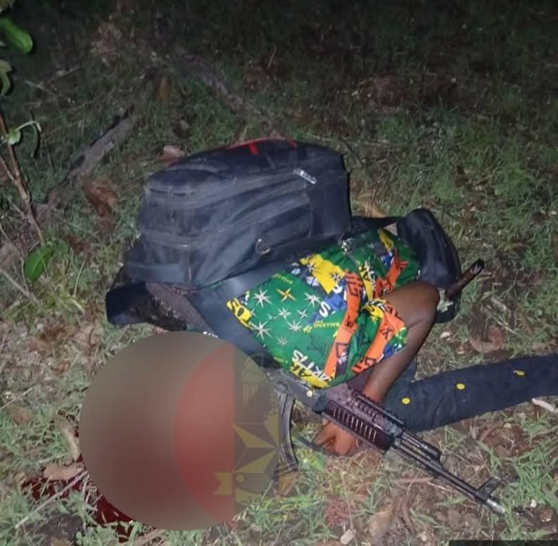 47167 1771234991 47167 1771234991