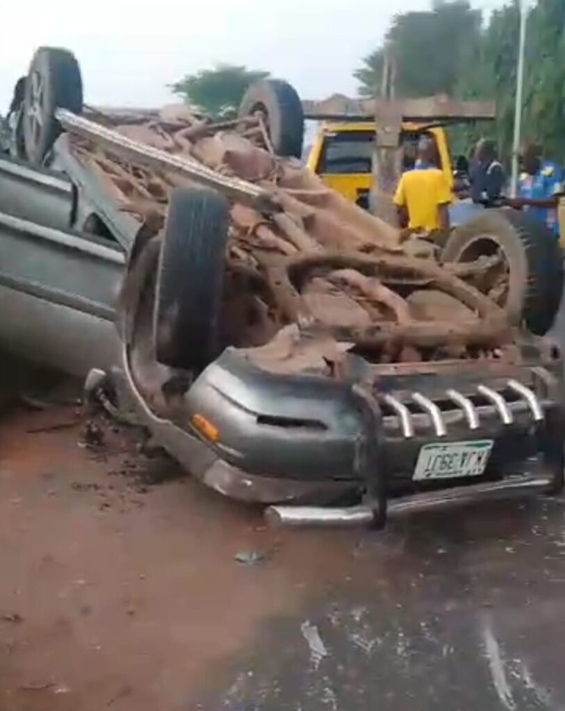 48145 1772018333 48145 1772018333