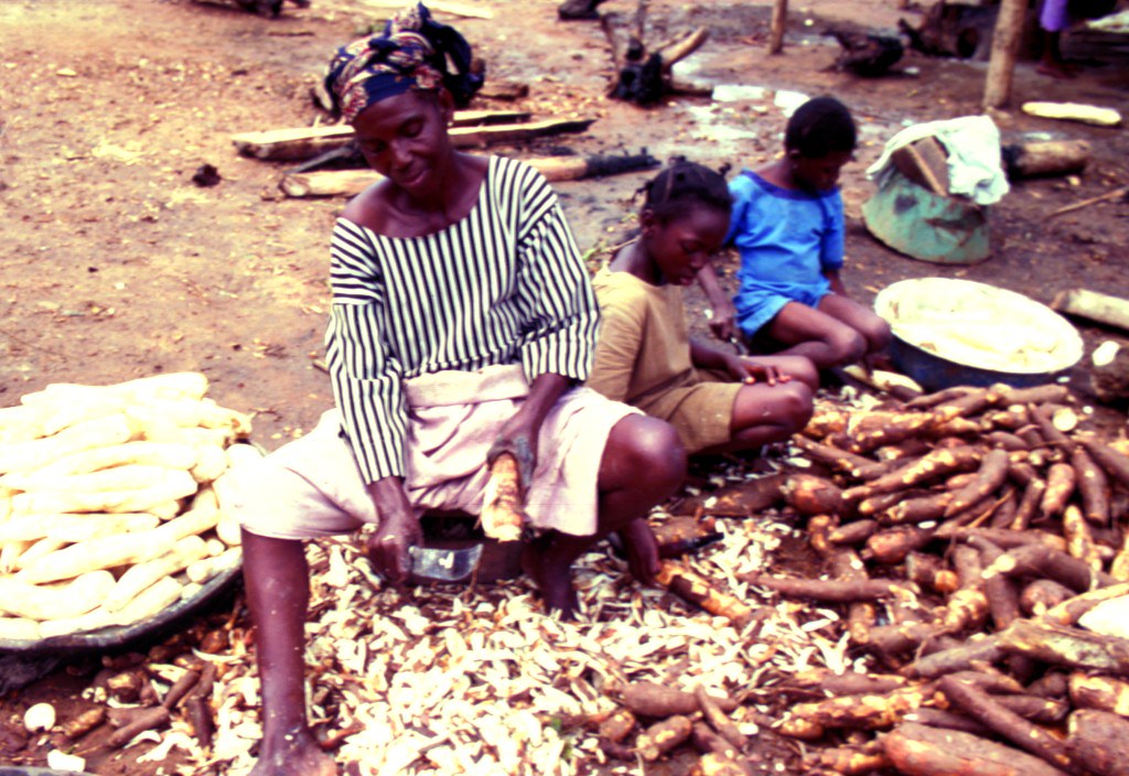 5467647861 df343924a8 b 5467647861 df343924a8 b