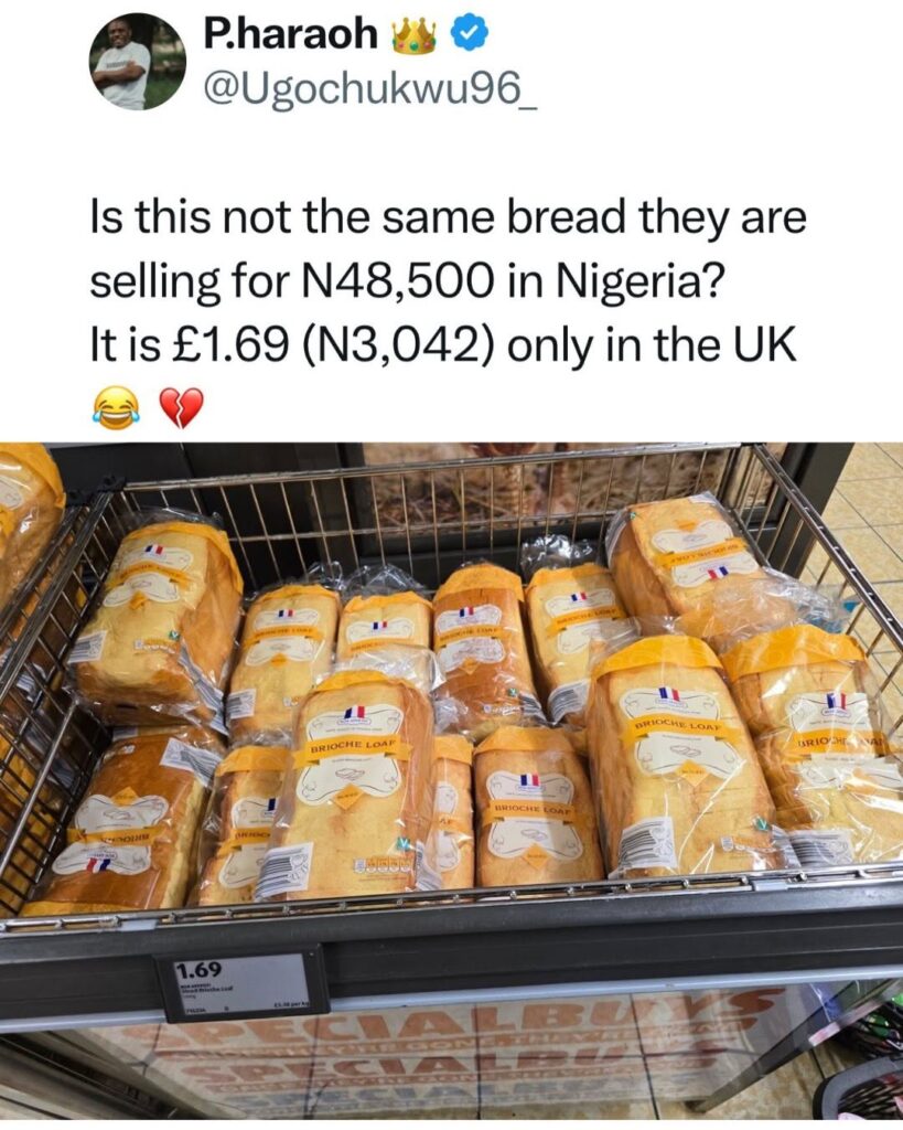 640645115 18565080247037631 1414823065898680088 n 640645115 18565080247037631 1414823065898680088 n