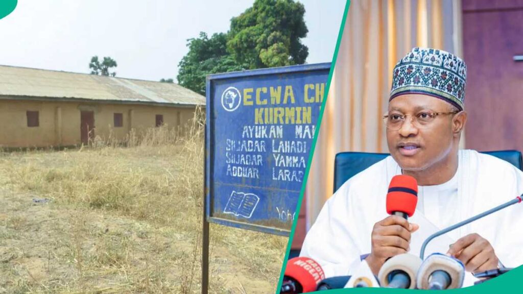 82805a1803c0aa9f 82805a1803c0aa9f